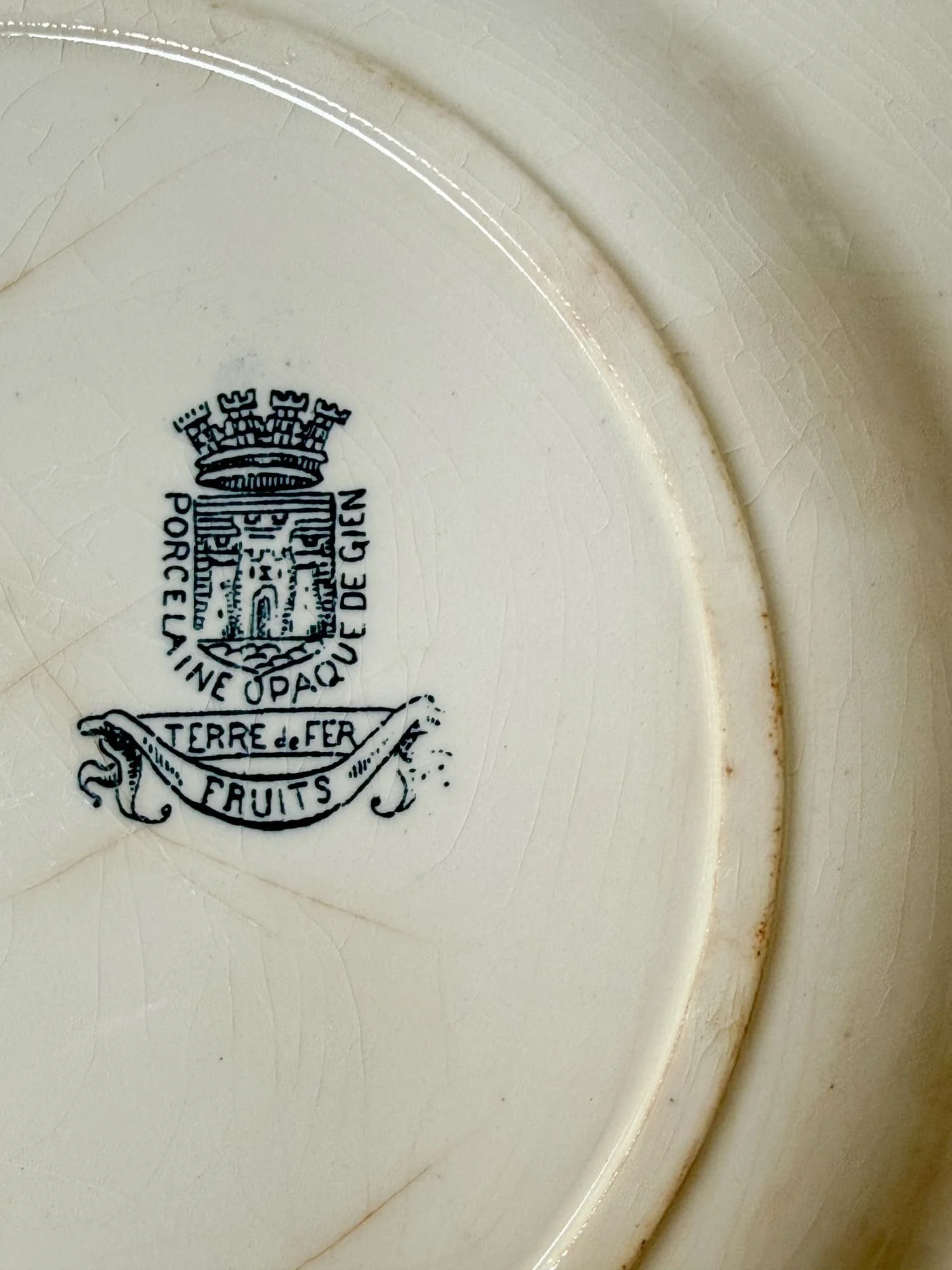 Antique French Faience Blue Fruits Pattern Terre de Fer Plates